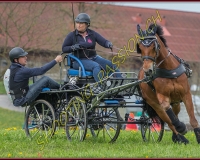 2POSIEUX 0463